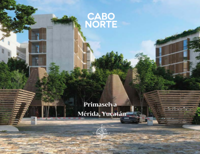 Cabo Norte Primaselva.