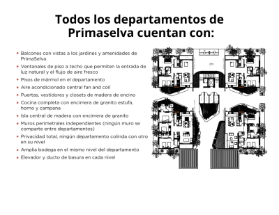 Cabo Norte Primaselva.