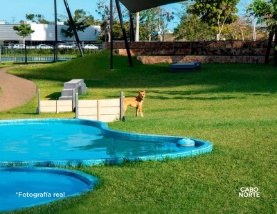 Cabo Norte Primaselva.